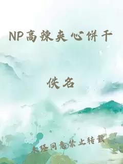 NP高辣夹心饼干