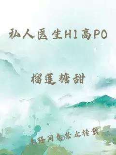 私人医生H1高PO