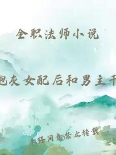 全职法师小说