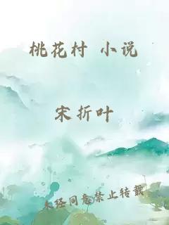 桃花村 小说