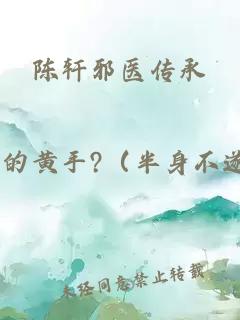 陈轩邪医传承