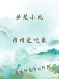 梦想小说