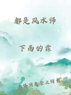 都是风水师