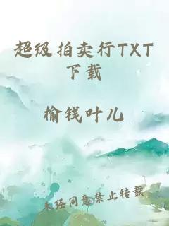 超级拍卖行TXT下载