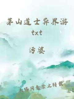 茅山道士异界游txt