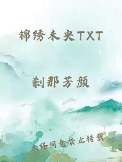 锦绣未央TXT