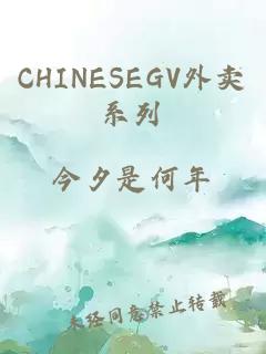 CHINESEGV外卖系列