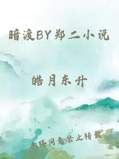 暗渡BY郑二小说