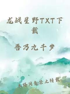 龙战星野TXT下载