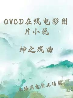 QVOD在线电影图片小说