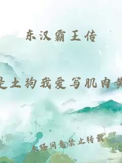 东汉霸王传