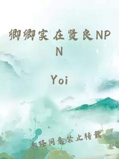 卿卿实在贤良NPN