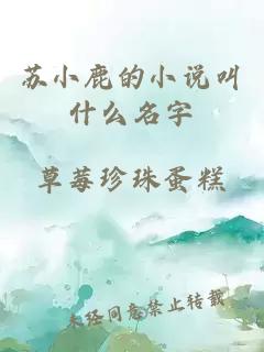 苏小鹿的小说叫什么名字