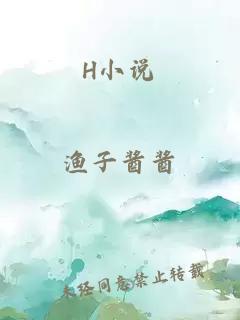 H小说