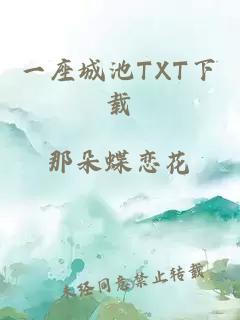 一座城池TXT下载