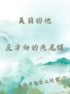 美丽的他