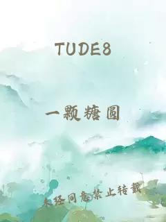 TUDE8