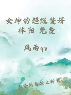 女神的超级赘婿 林阳 免费