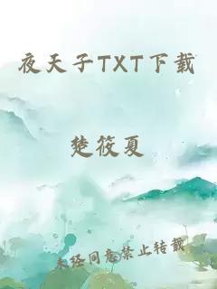 夜天子TXT下载