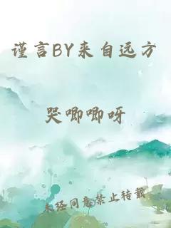 谨言BY来自远方