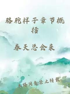 骆驼祥子章节概括