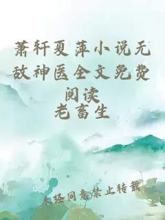 萧轩夏萍小说无敌神医全文免费阅读