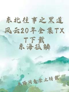 东北往事之黑道风云20年全集TXT下载