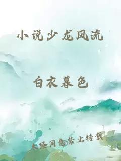 小说少龙风流