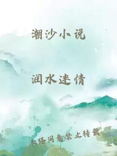 潮沙小说