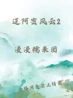 迈阿密风云2