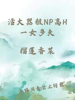 活大器粗NP高H一女多夫