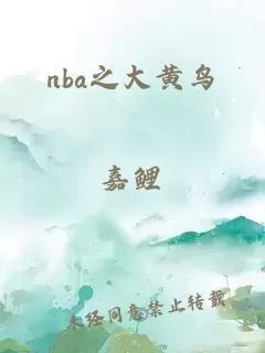 nba之大黄鸟