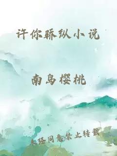 许你骄纵小说