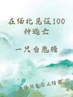 在缅北见证100种逃亡