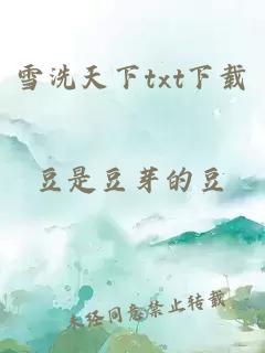 雪洗天下txt下载