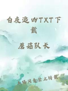 白夜追凶TXT下载