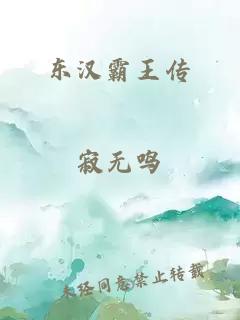 东汉霸王传