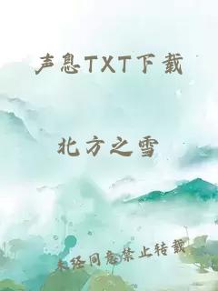 声息TXT下载