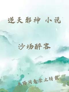 逆天邪神 小说