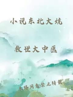 小说东北大炕