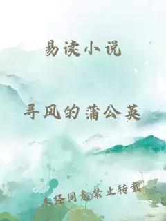 易读小说