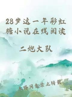 28岁这一年彩虹糖小说在线阅读