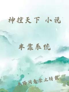 神控天下 小说