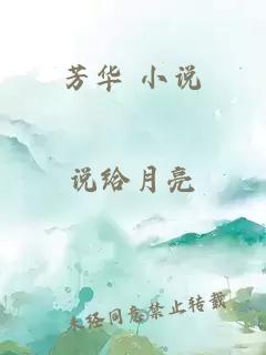 芳华 小说