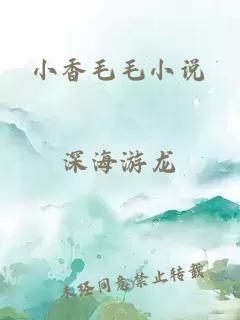 小香毛毛小说