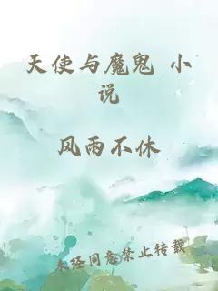 天使与魔鬼 小说