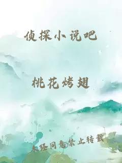 侦探小说吧