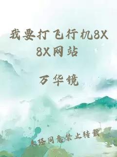 我要打飞行机8X8X网站