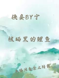 换妾BY宁寗