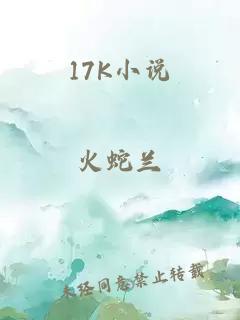 17K小说